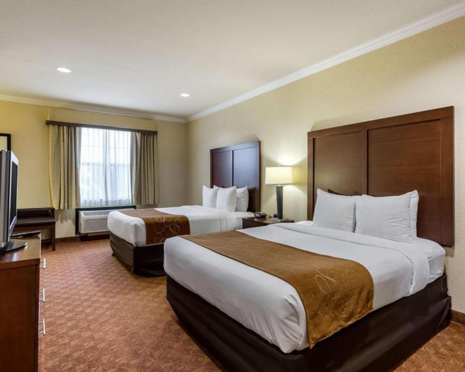 Comfort Suites Near Nasa - Clear Lake Webster Ngoại thất bức ảnh