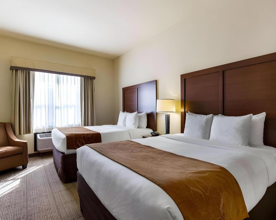 Comfort Suites Near Nasa - Clear Lake Webster Ngoại thất bức ảnh