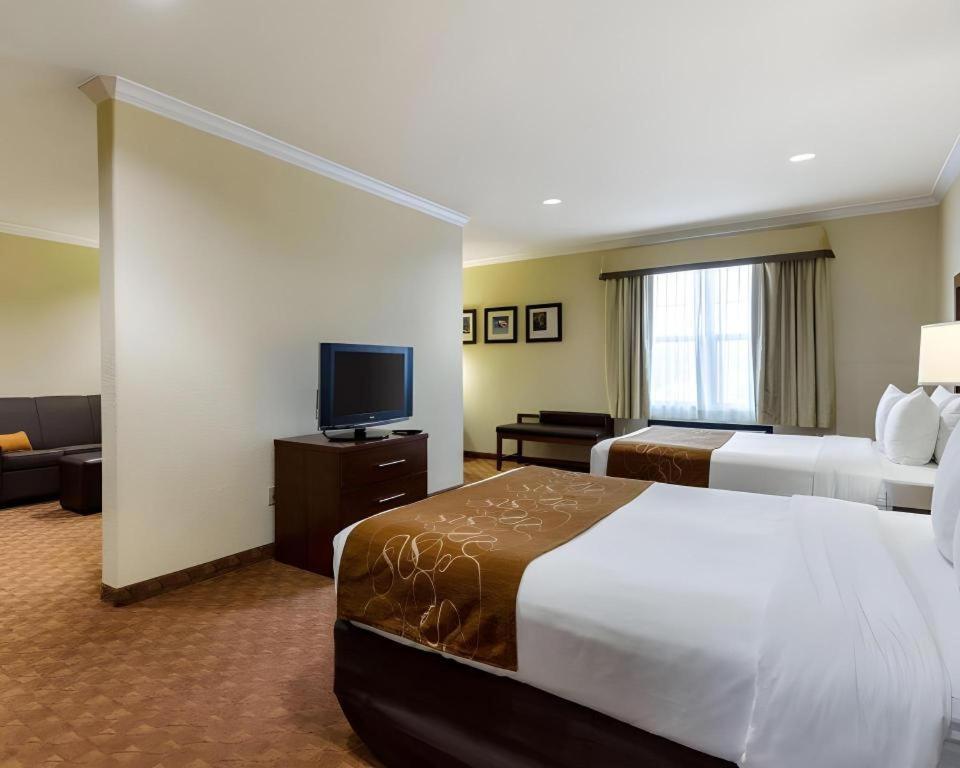 Comfort Suites Near Nasa - Clear Lake Webster Ngoại thất bức ảnh