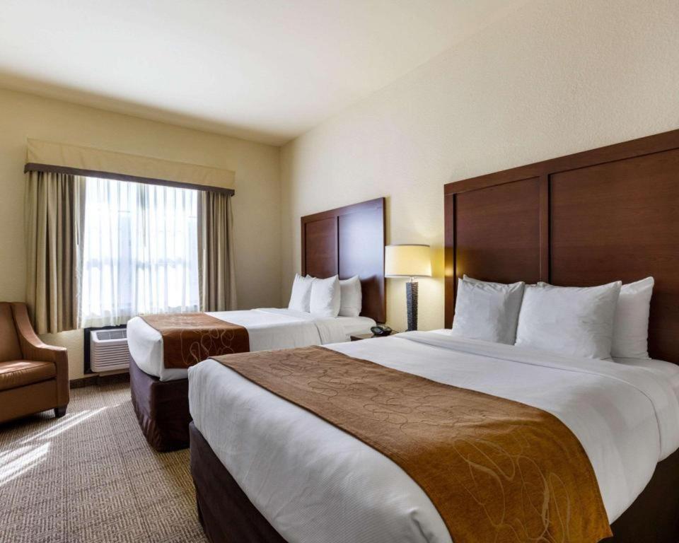 Comfort Suites Near Nasa - Clear Lake Webster Ngoại thất bức ảnh