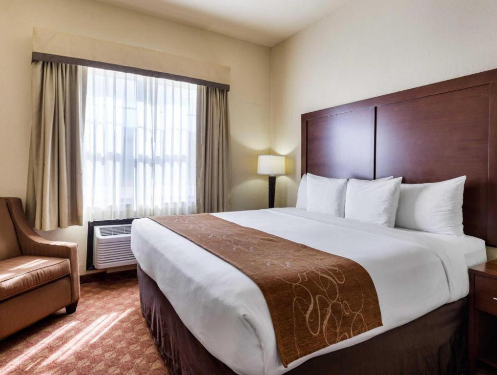 Comfort Suites Near Nasa - Clear Lake Webster Ngoại thất bức ảnh