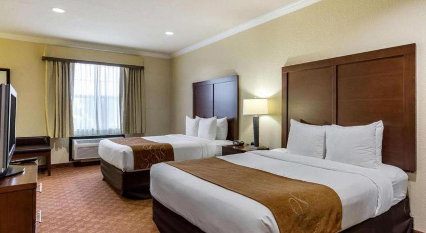 Comfort Suites Near Nasa - Clear Lake Webster Ngoại thất bức ảnh
