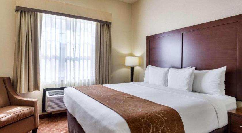 Comfort Suites Near Nasa - Clear Lake Webster Ngoại thất bức ảnh